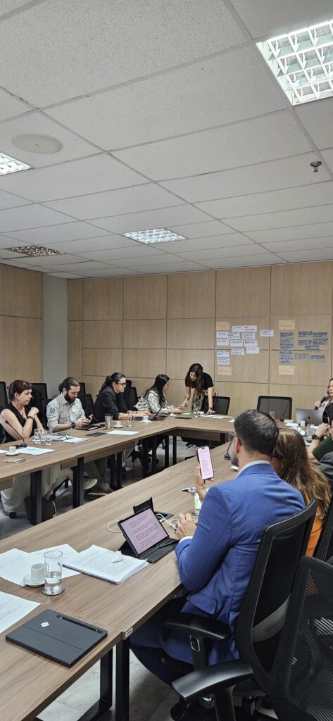 Rafaela Nicola durante reunião representando entidade do Conama-Brasília/DF