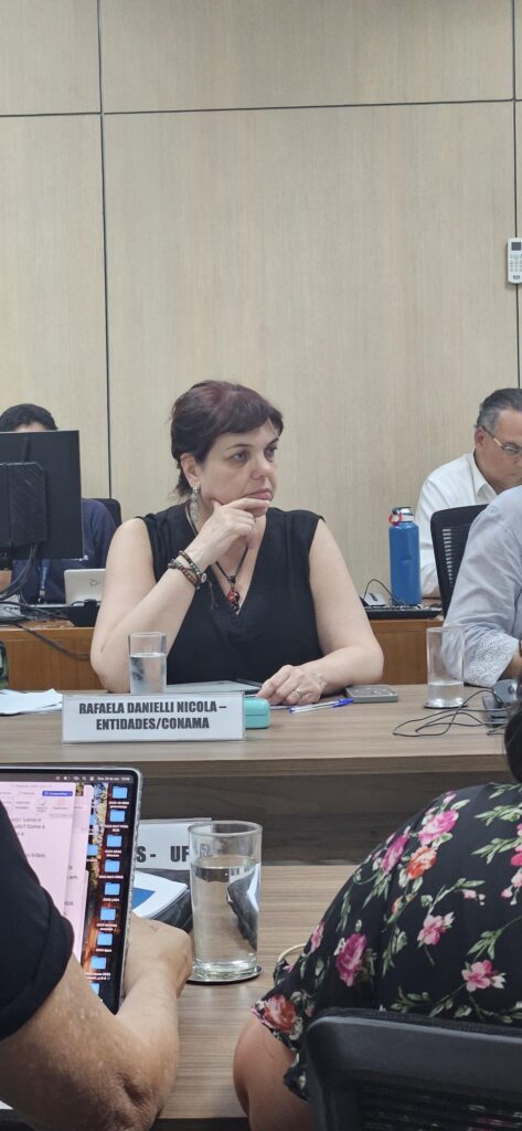 Rafaela Nicola durante reunião representando entidade do Conama-Brasília/DF