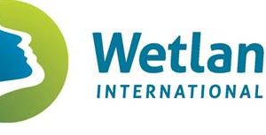 new-logo-wetlands-international-with-crop