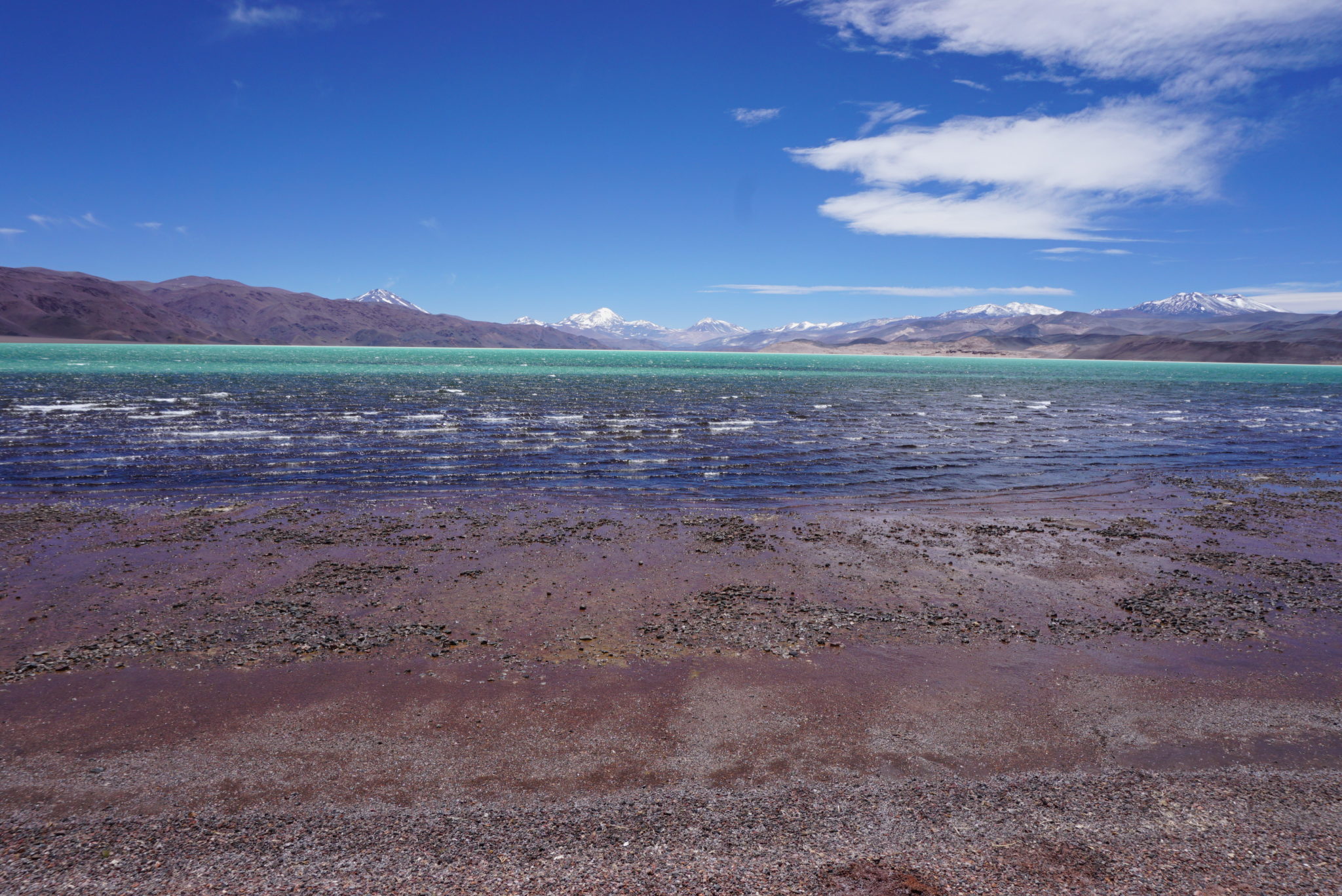 Why the Rush to Mine Lithium Could Dry Up the High Andes - Yale E360