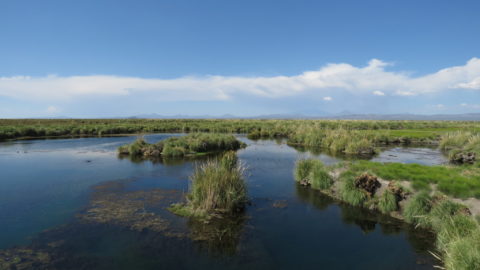 Pozos de Carapacho