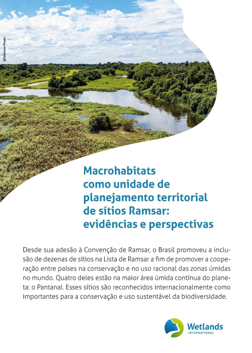 Aplicação das Diretrizes da Convenção Ramsar ao Plano de Manejo Sítio ...