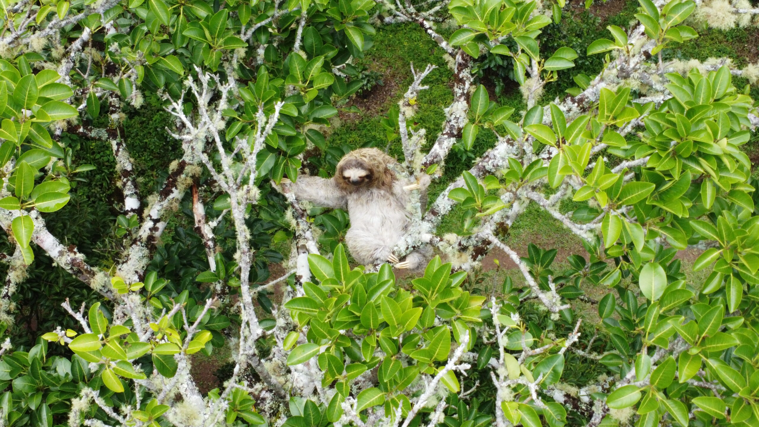 Viviendo en armonía con la naturaleza: Conectando la biodiversidad